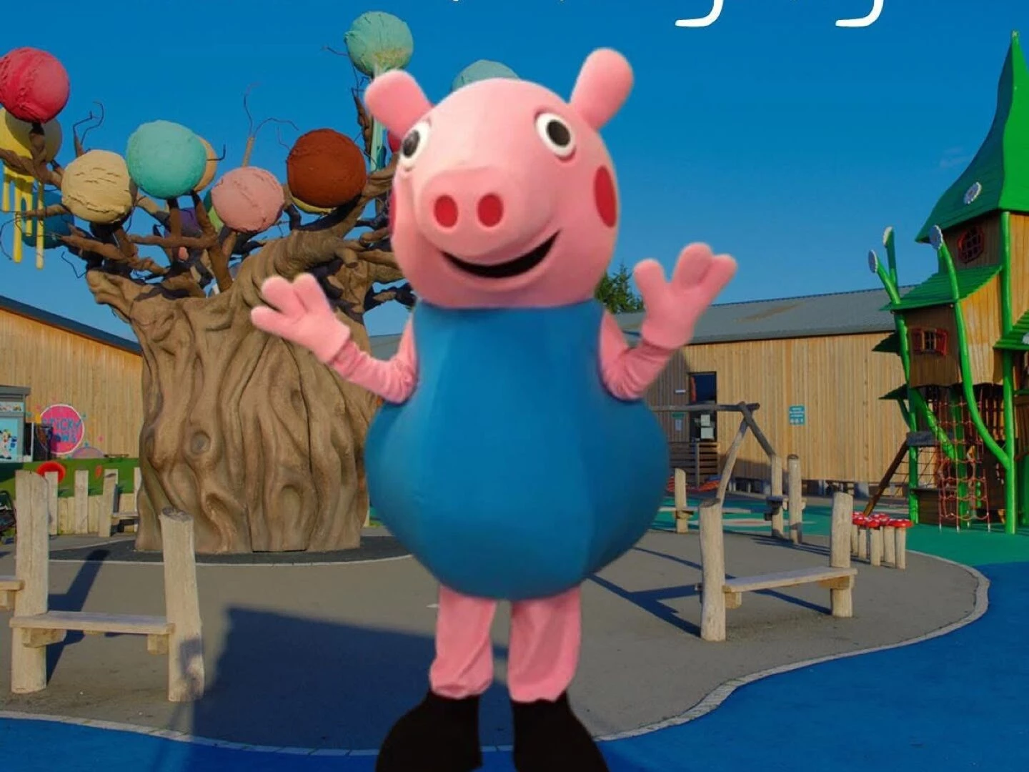 george pig