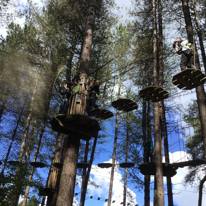 go ape