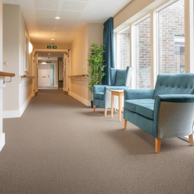 gradus  carezone carpet