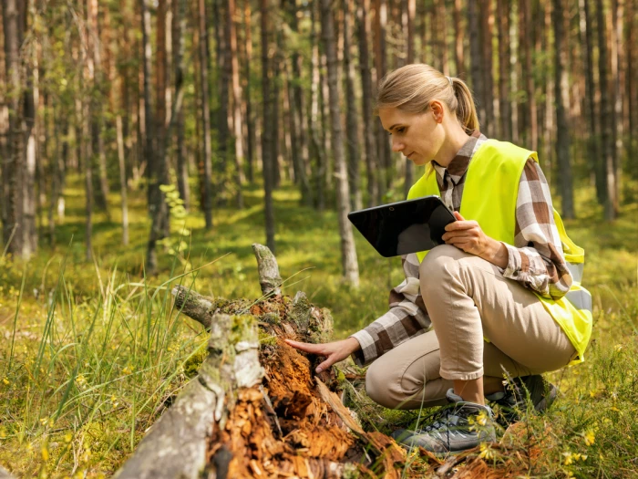 green careers