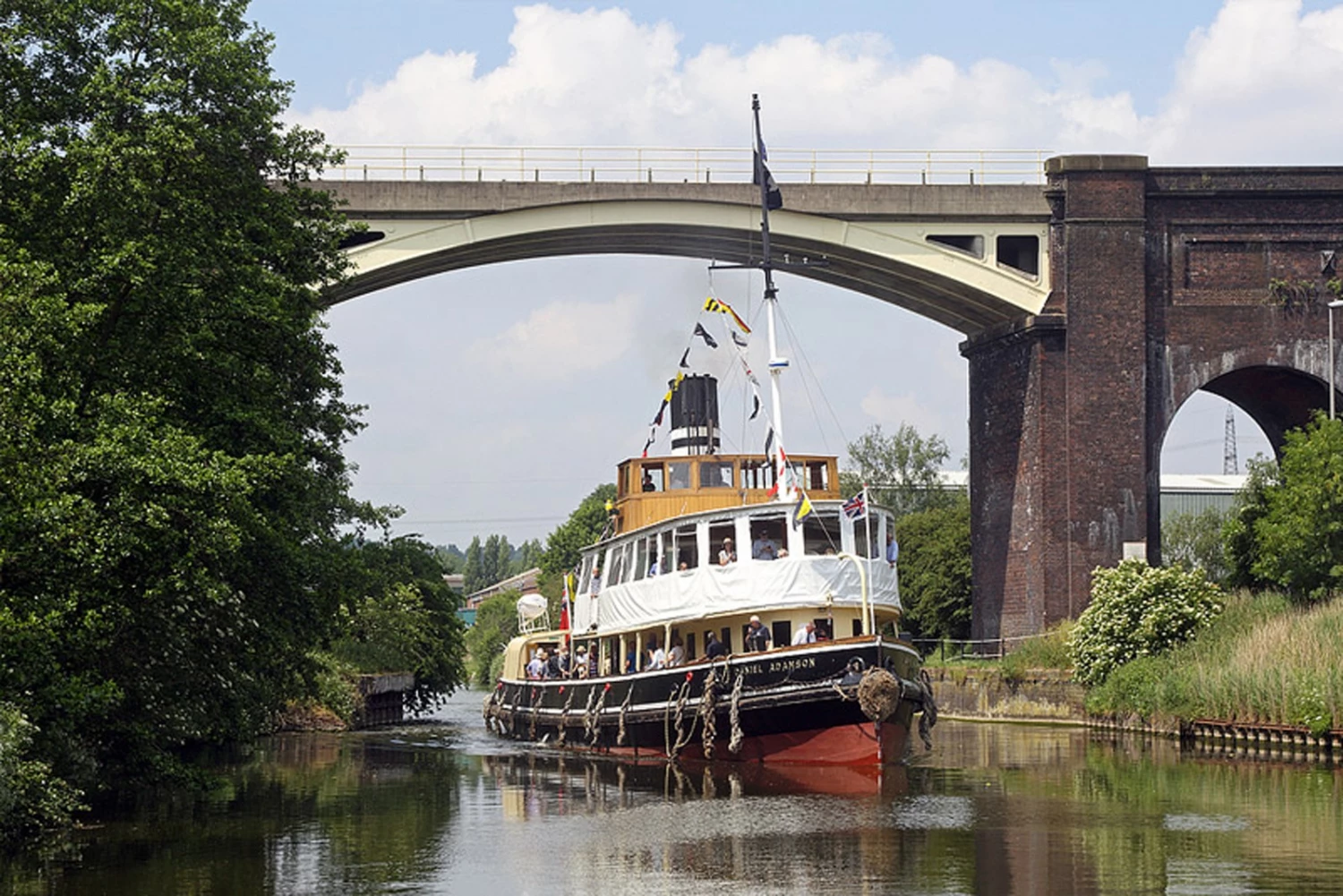 h51  cruises large