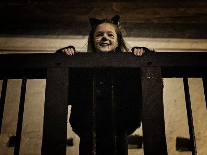halloween at tatton park old hall   low res 1