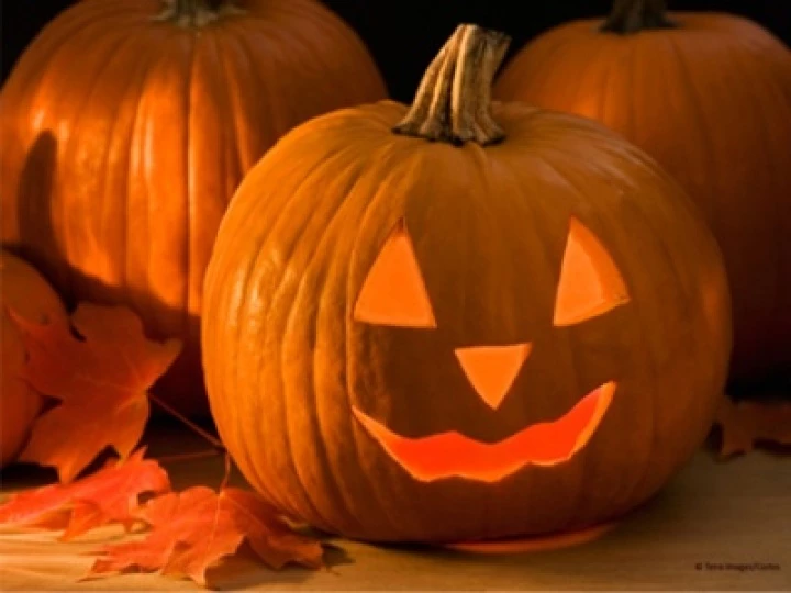 halloweenpumpkins1