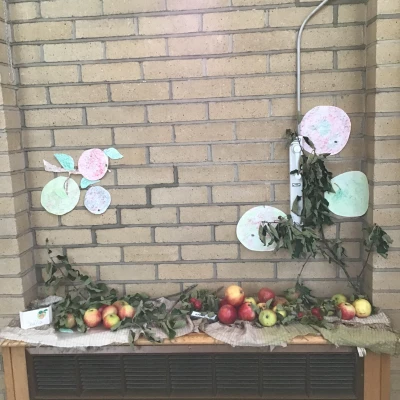 harvest apples 2