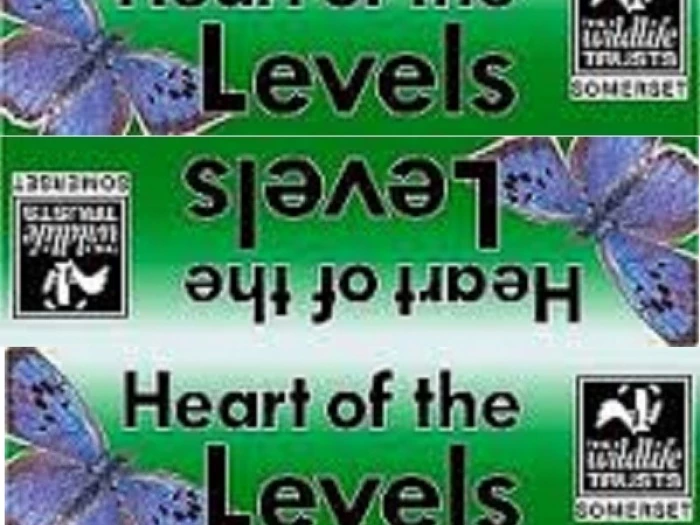 heart-of-the-levels-logo