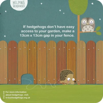 hedge03