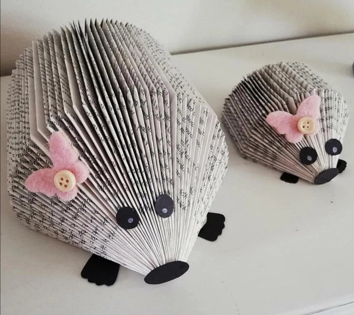 hedgehogs