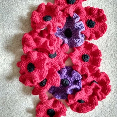 helen39s poppies