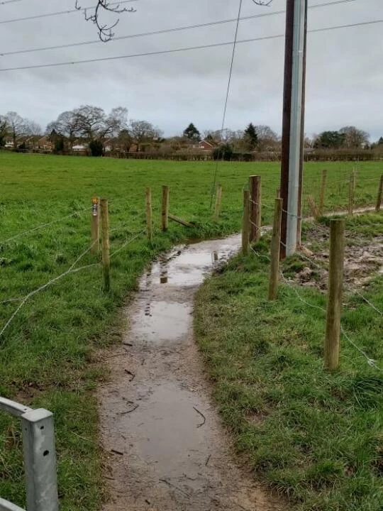 henwhirfootpath3