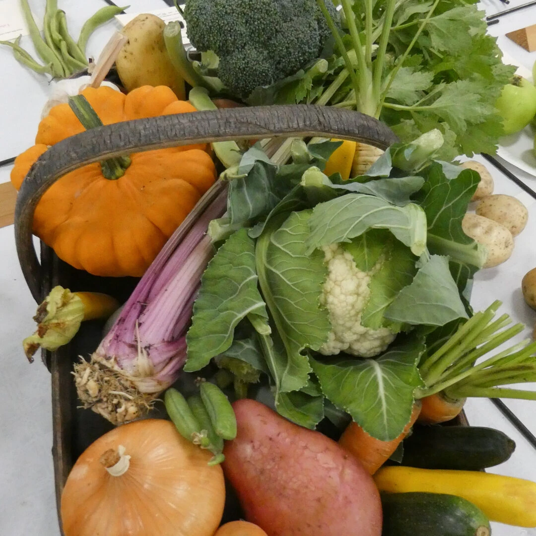hhs show veg 202501