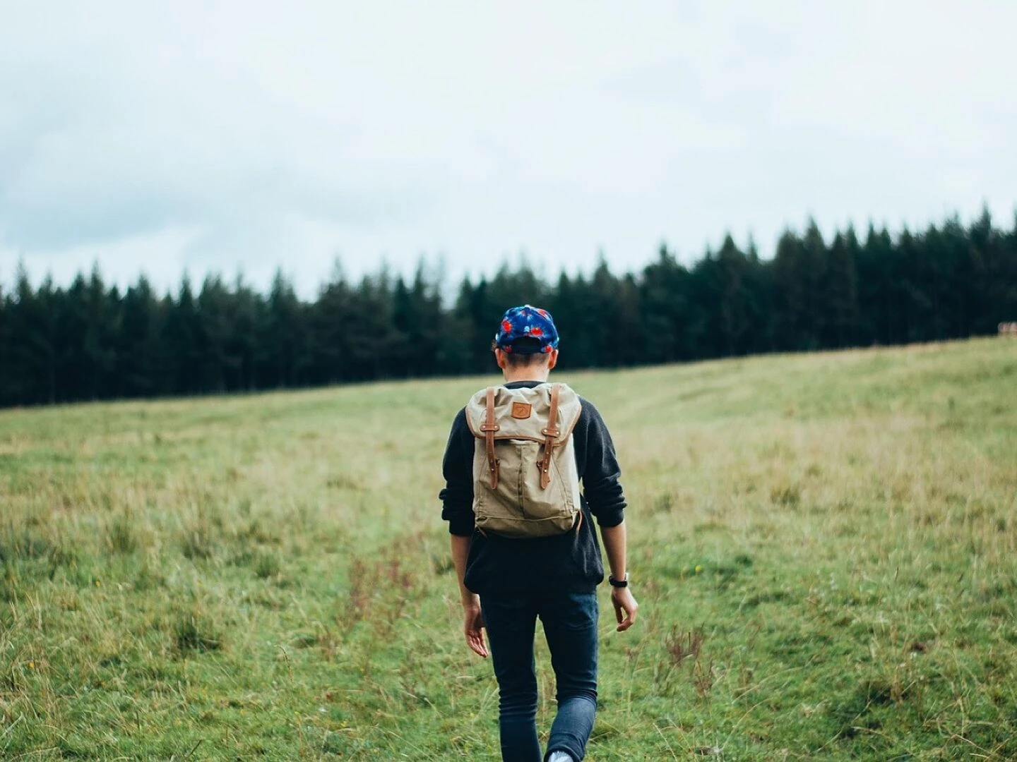 hiker trekking travel adventure activity nature backpack person sport forest outdoor journey trek walk young guy walking grass field trees jeans sweater hat hiker hiker hiker hiker hiker