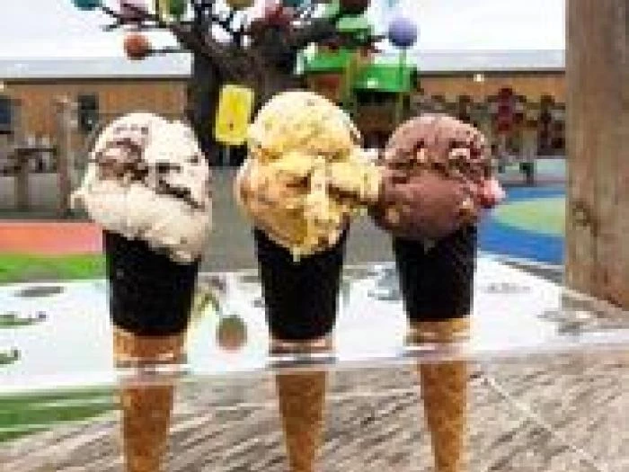 ice cream farm jpg