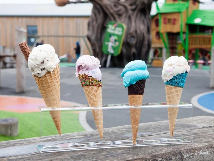 ice cream selection