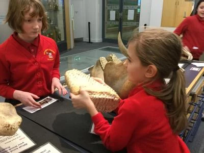 image 02a853aa7bd34f1c87cf5c8a2be8d5a2