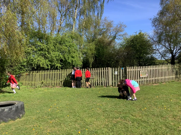 image 09e47a37325f4a729032708d3be04975