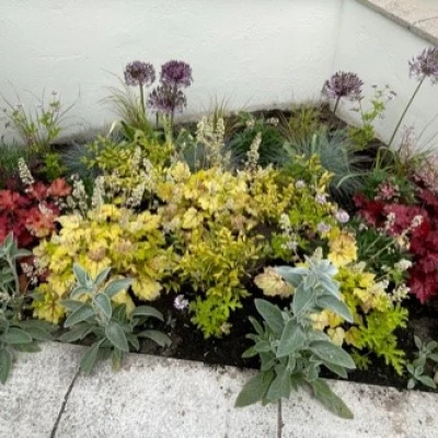 image 20210610 sensory beds