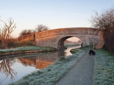 image 20211125080731