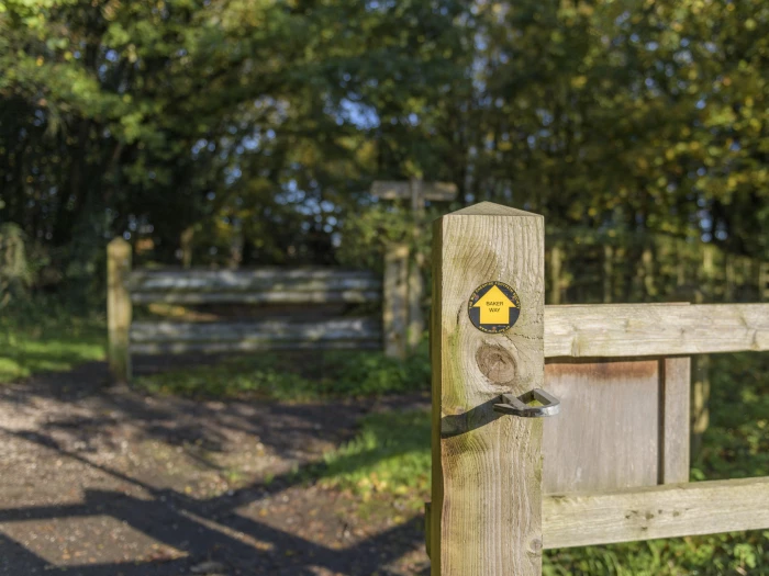 image 20231111 103122