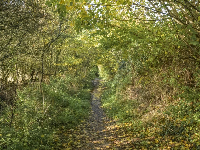 image 20231111 105305