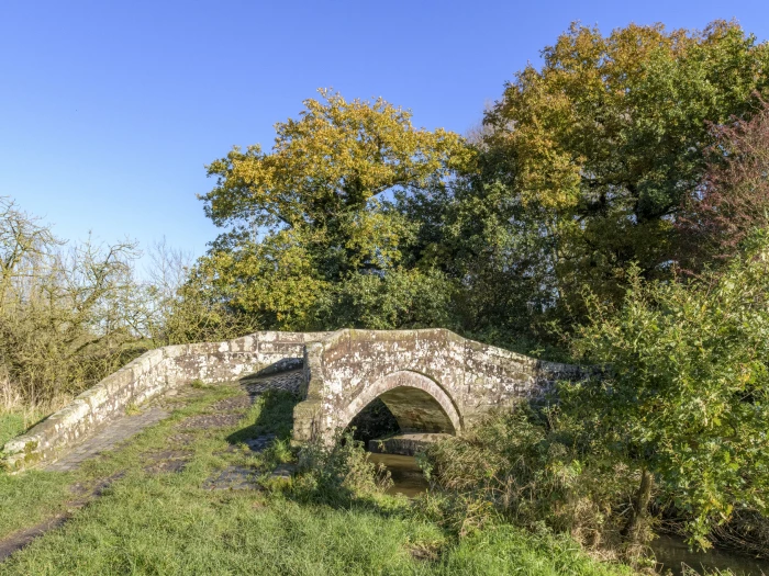 image 20231111 111231