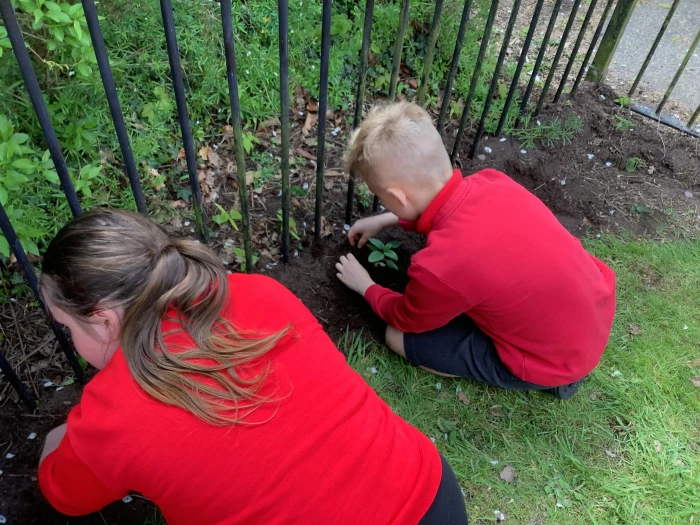 image 375408ac5232469d83baec913980379f