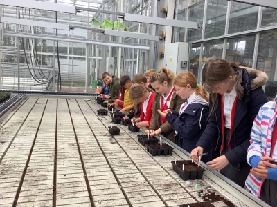 image 448500da2aca4d279c8b550f2883b15d