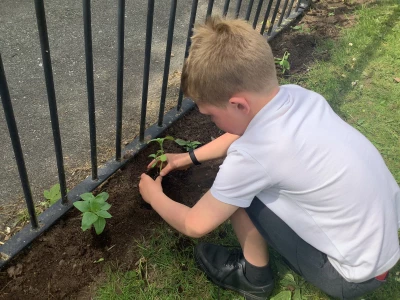 image 537a9e44d8f54920a568a3500d1c2826