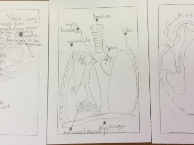 image 5daf00eb06e74a939945ec3ae7ae98bc