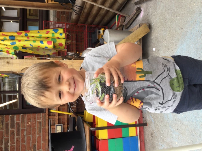 image 6abc566a2ac2483db4be99fdb0742a27