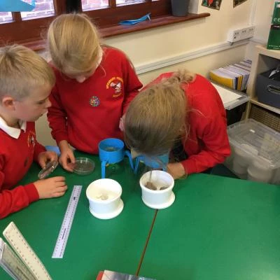 image 7b9bfdd94d2a42ebb6c2c52f15e00adc