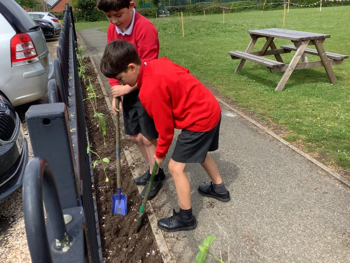 image 853d690da7874b9aafb88d40296c599d