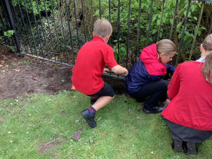 image 8c541d1ee6164513a07cc2f0481b21d1