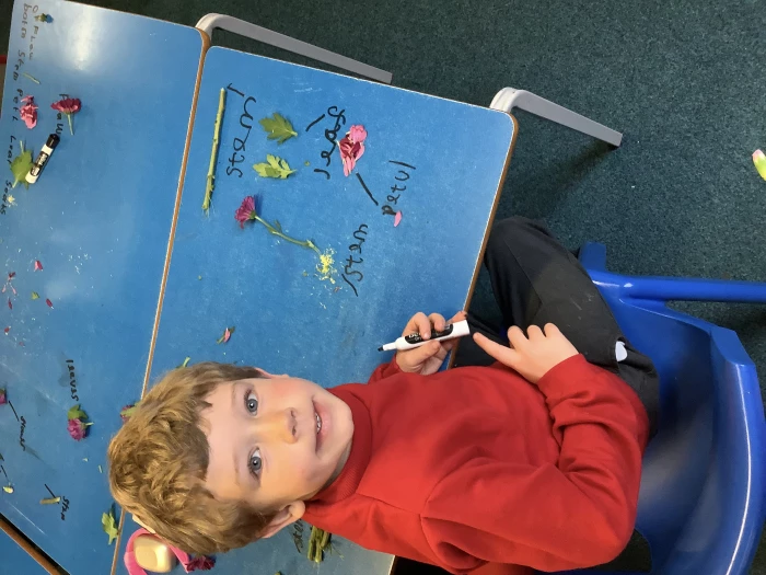 image 93ef600dca2b4d7086c3e48009147e50