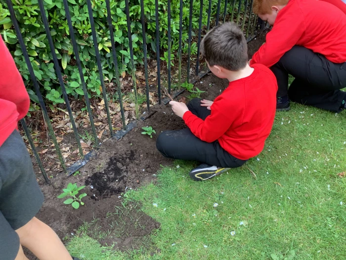 image 9563add962924e5f8c35b7d0b70a6af9