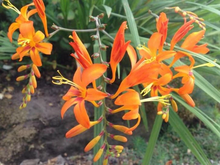 image0878