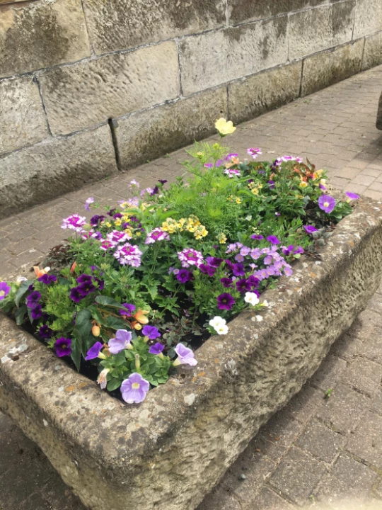 image1248