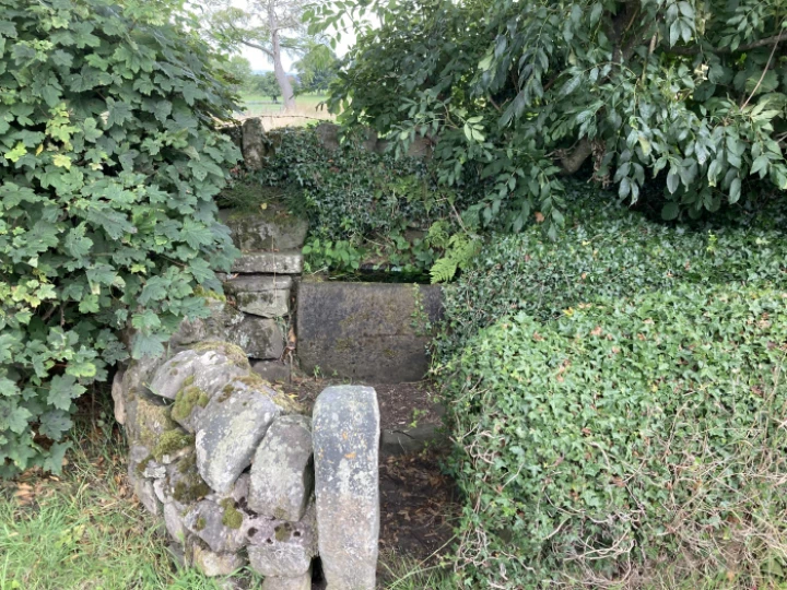 image1624