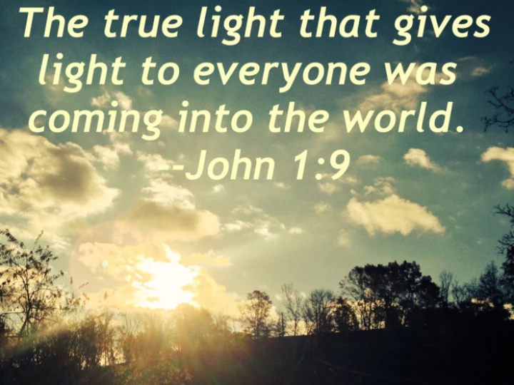 john19