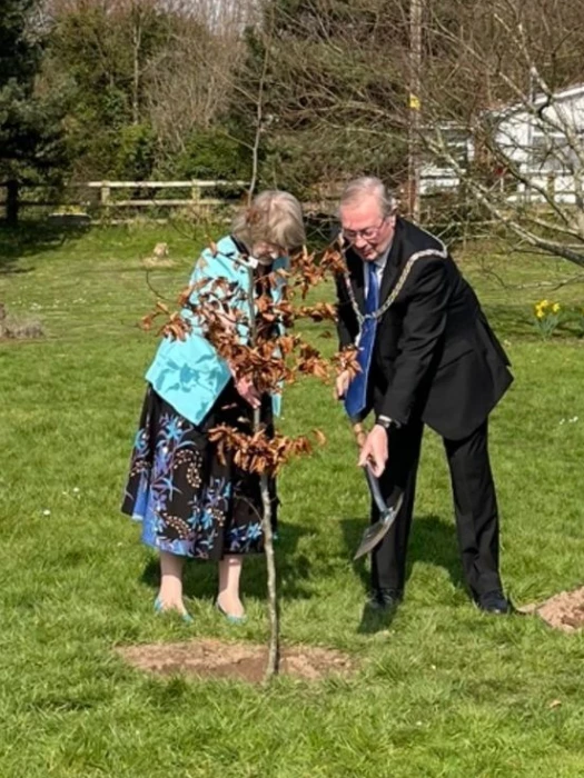 jubillee tree mayor