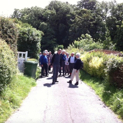 june walk
