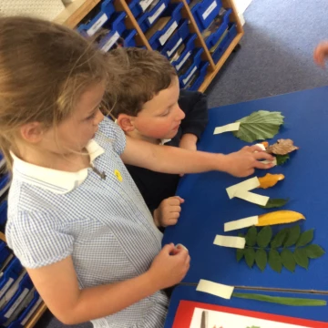 leaf