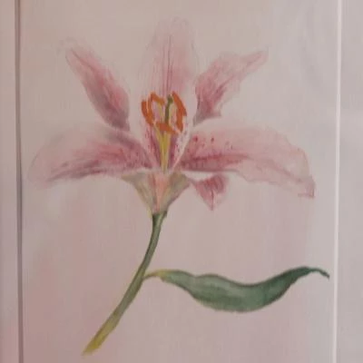lilly  art group oct 2017