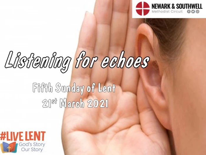 listening for echoes  large