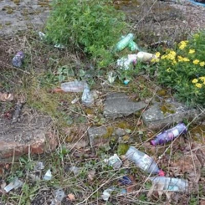 litter 1