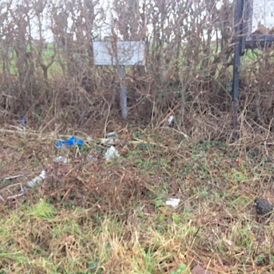 litter picking 3