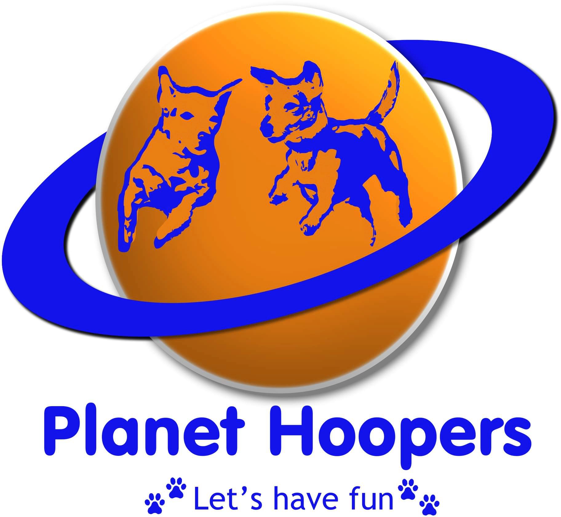 Planet Hoopers Logo Link