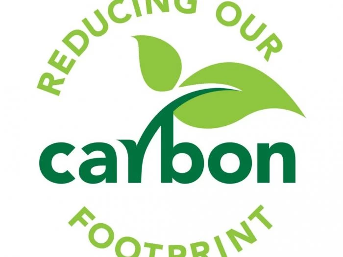 low carbon graphic
