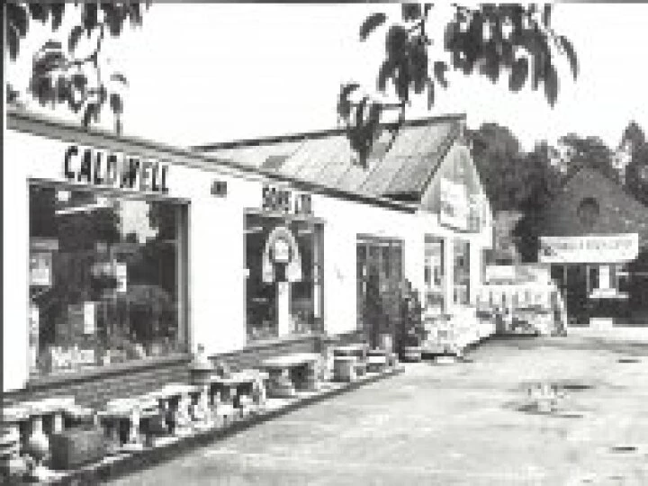 mainshop1966