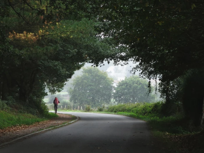 man walking along a road