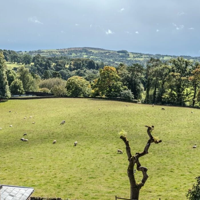 mellor knowl farm46